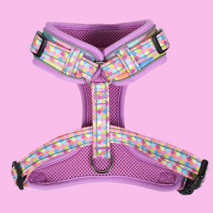 Doodlebone "Padded" Adjustable Airmesh Harness - different colours to choose from