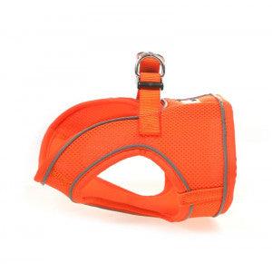 Doodlebone "Colours"  Snappy Harness - different colours to choose from