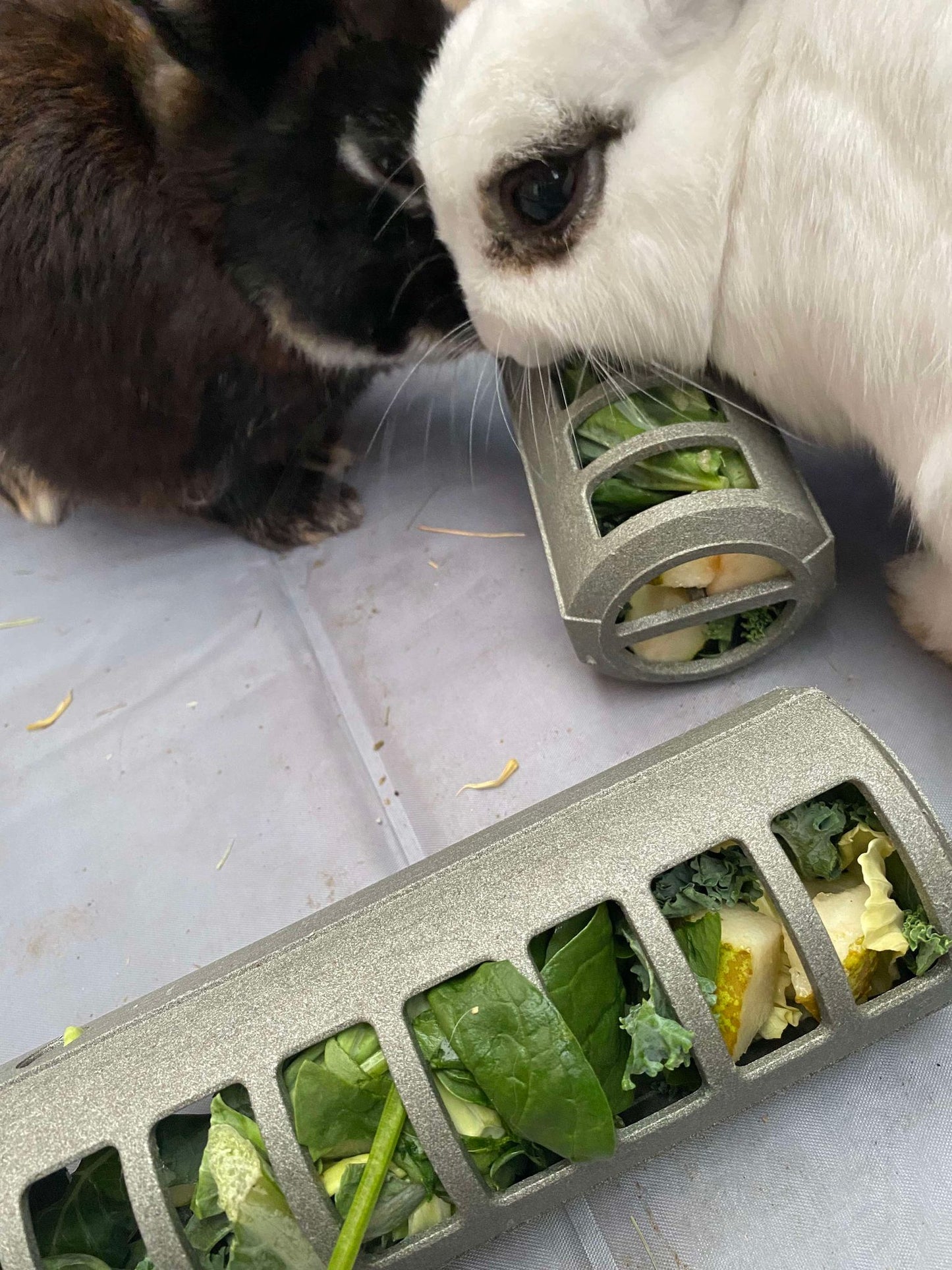 Boredom Breaker Veg Feeder or Bird Feeder - from Vital Pet